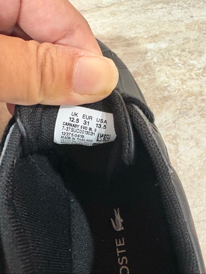 Basket sneaker carnaby Lacost garçon lacoste pratiquement neuve taille 31 - photo numéro 5