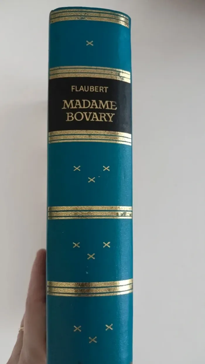 livre madame bovary