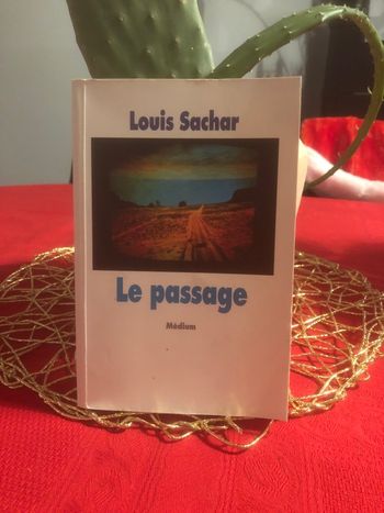 Le passage - Louis Sachar