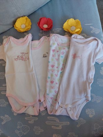 Lot 4 bodies