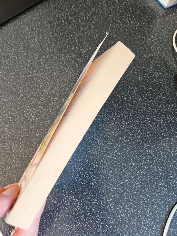 Quelqu'un de bien U19 - photo numéro 4