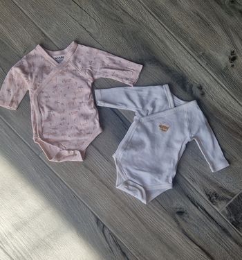 Lot 2 bodies