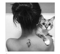 profil