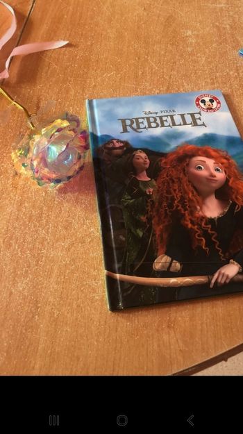 Livre disbey rebelle