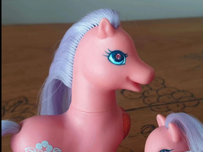 Mon Petit Poney G2  Princess  Light Up Morning  Glory Families - photo numéro 5