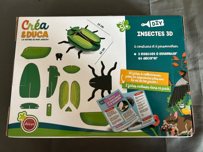 DYI Insectes 3D - photo numéro 2