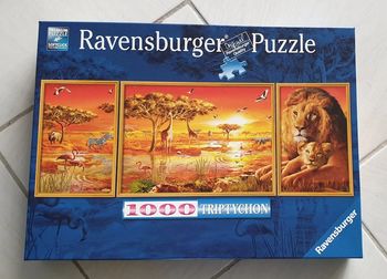 Puzzle savane