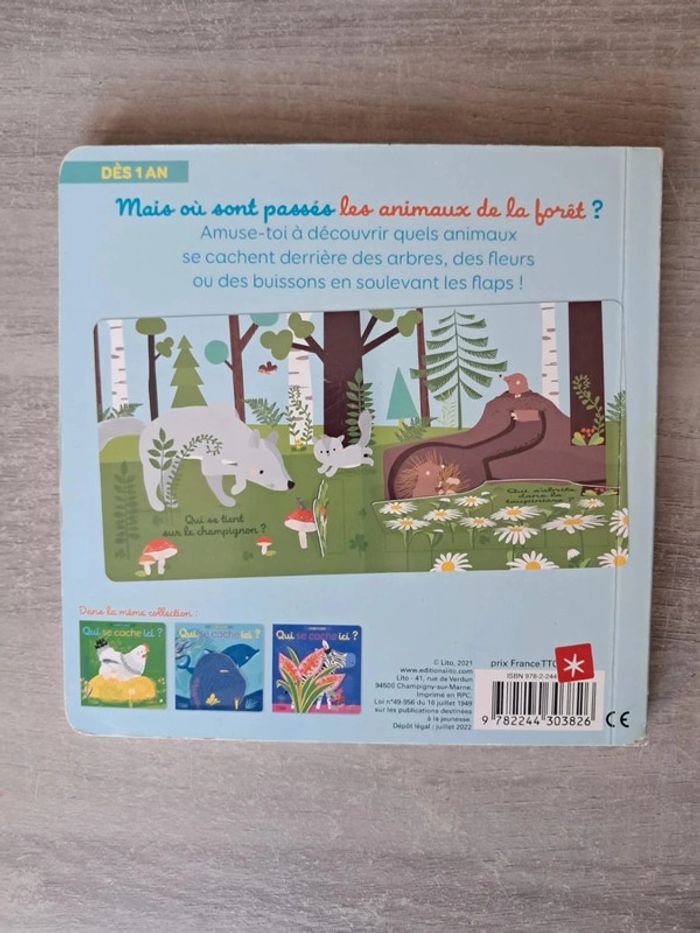 Livre flaps qui se cache ici ? - photo numéro 2