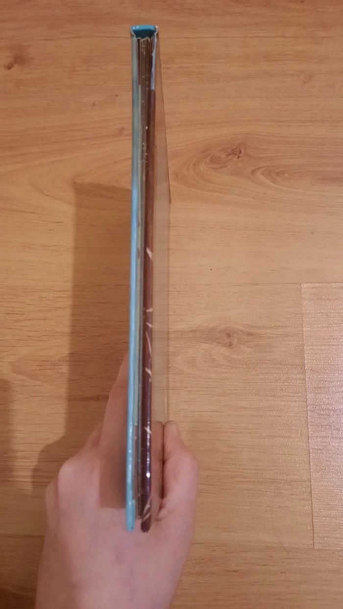 Donald et la maison hantée - photo numéro 8