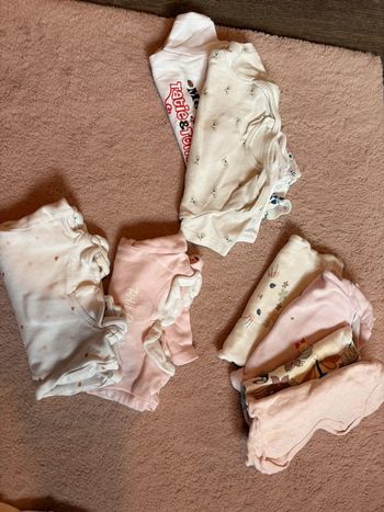 Lot body