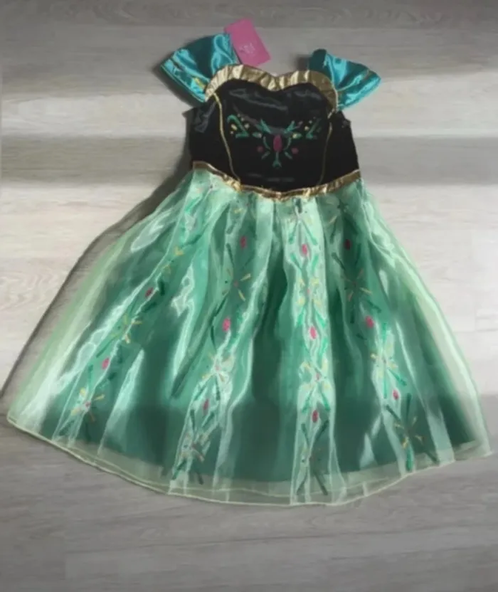 Robe Anna Frozen 5/6 ans