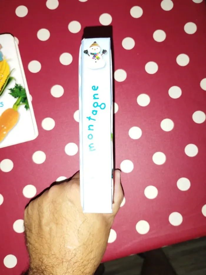 Lot de 3 livres pour découvrir - photo numéro 5
