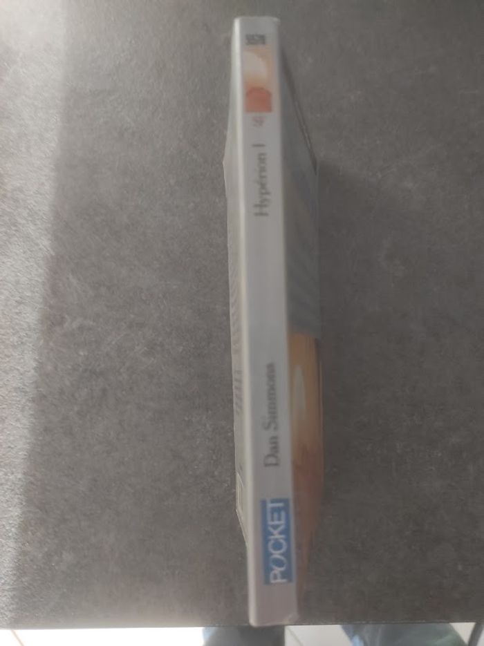 Les Cantos d'Hypérion Hypérion 1 Dan Simmons - Pocket 1995 - photo numéro 2