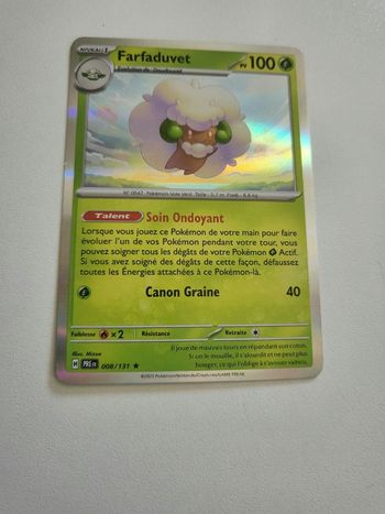 Carte pokemon holo farfaduvet