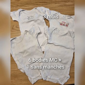 Lot de 7 bodies été