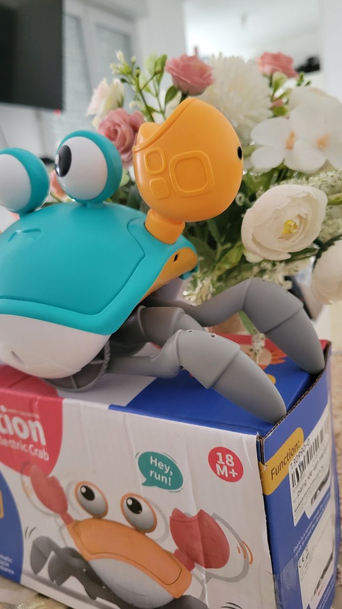 Crabe qui bouge et danse - photo numéro 2