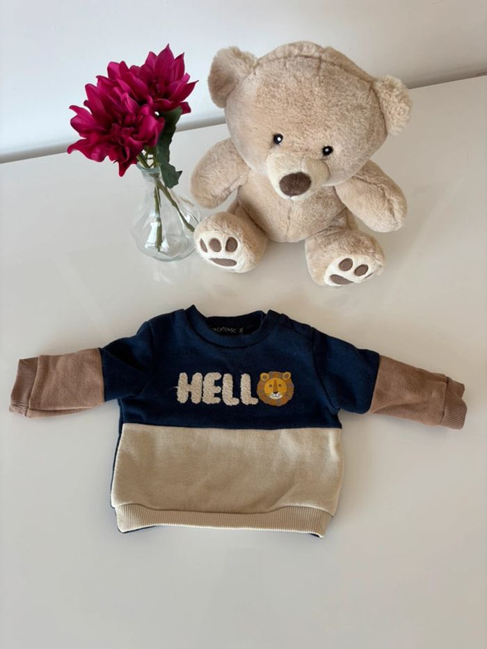 Pull lion 3 mois