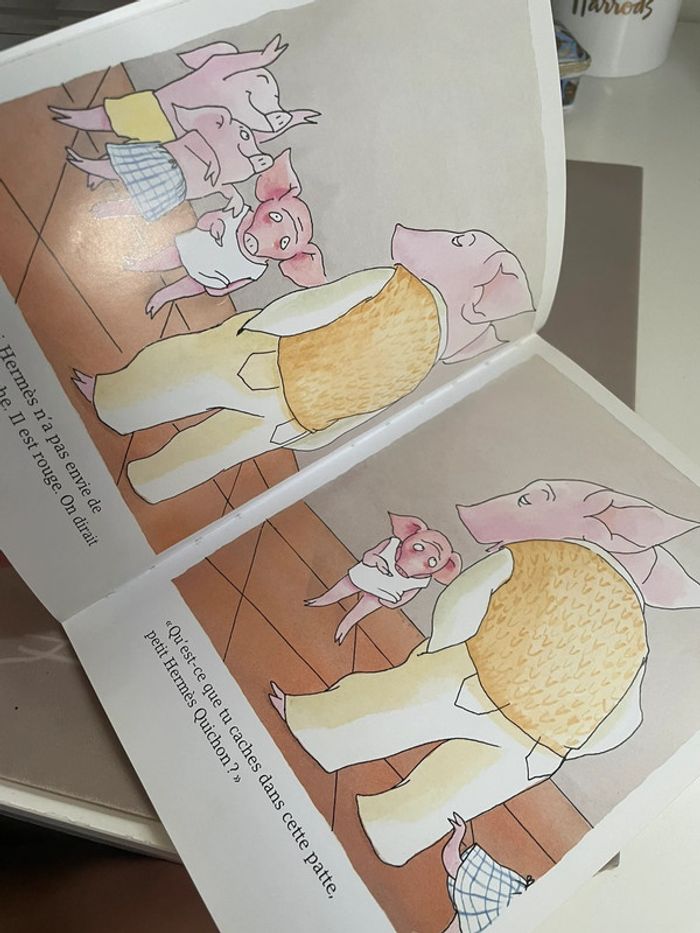 L’Animal domestique d'Hermès Quichon - école des loisirs - photo numéro 4