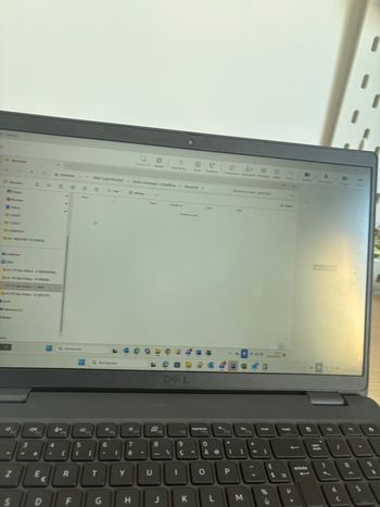 Jeux switch kao the kangoroo 