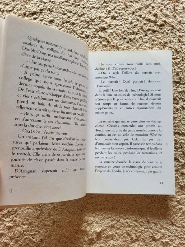 Livre enfant La classe de 6e au Futuroscope d'Hélène Kérillis - Collection Ratus poche - photo numéro 8