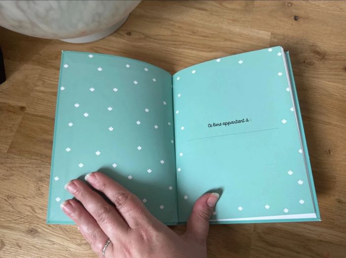 Livre Je commence à lire Martine protège la nature - photo numéro 3