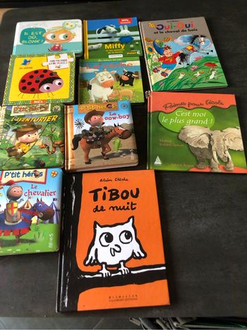 Lot de livres