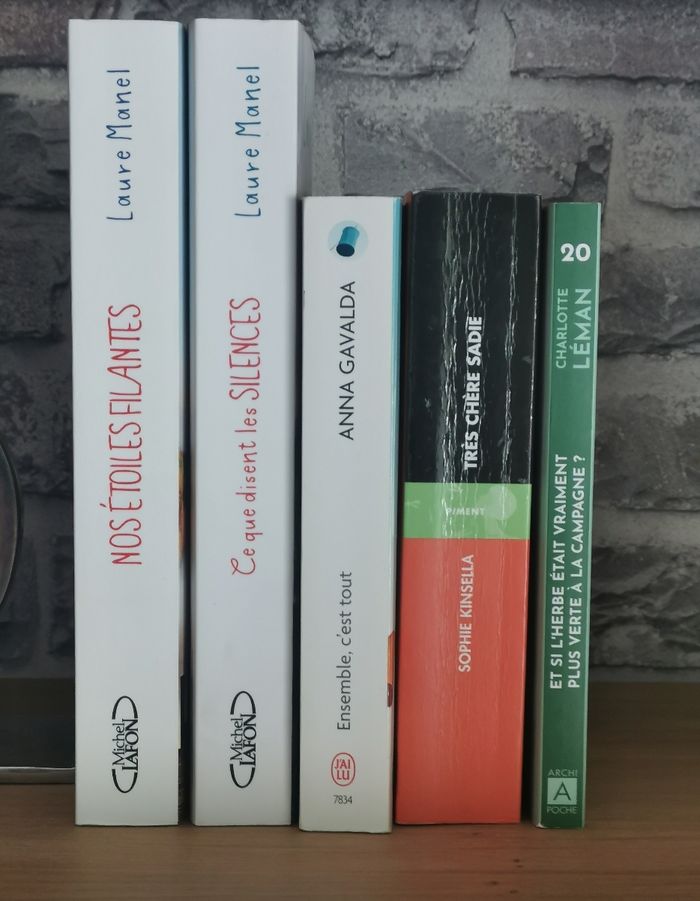 Nos étoiles filantes, Ce que disent les silences, Et si l'herbe était vraiment plus verte à la campagne - photo numéro 3