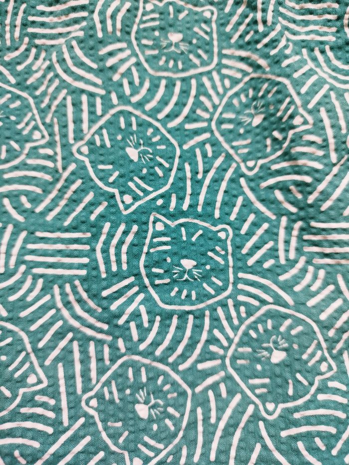 Chemisette chat - photo numéro 4