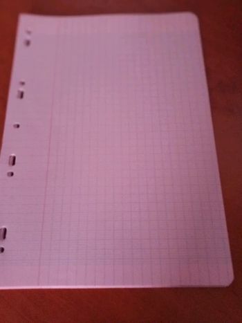#lot#feuillesroses#