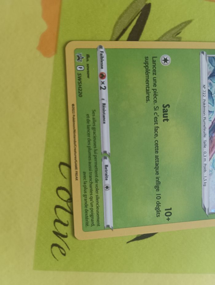 Brindibou - photo numéro 3