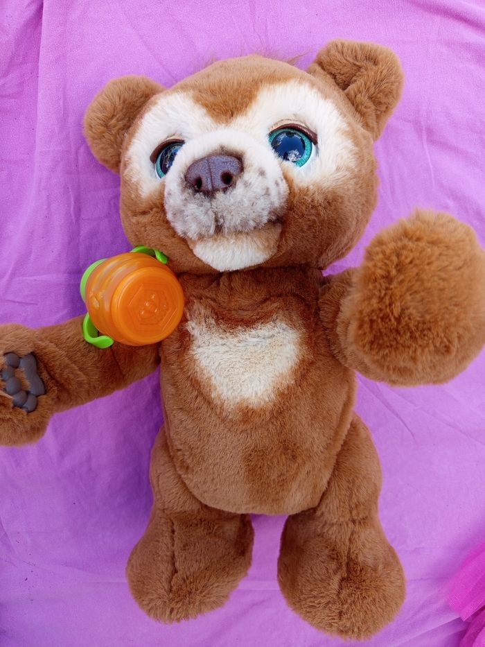 Cubby L'ours curieux