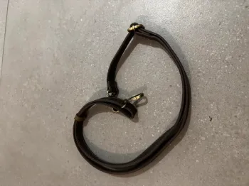 Bandoulière marron, très bon état, 80cm