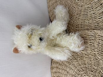 Rare peluche Trix, le chiot terrier miniature. Par Russ Berrie