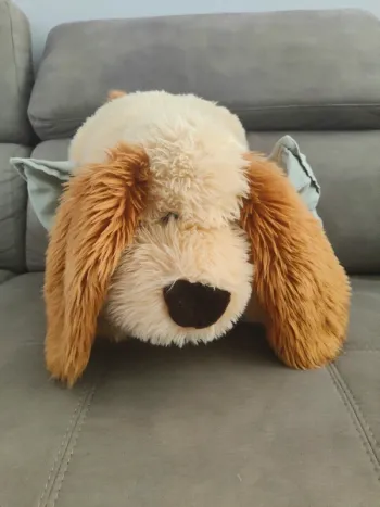 Doudou Chien