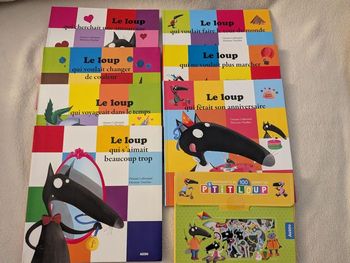 Lot 7 livres le loup Auzou + gaumettes