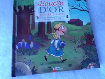 Livre Boucle D'or et les 3 ours  Pére castor