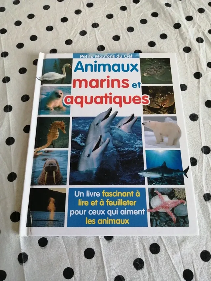 Livre de découverte animaux marins et aquatiques / le ballon - photo numéro 2