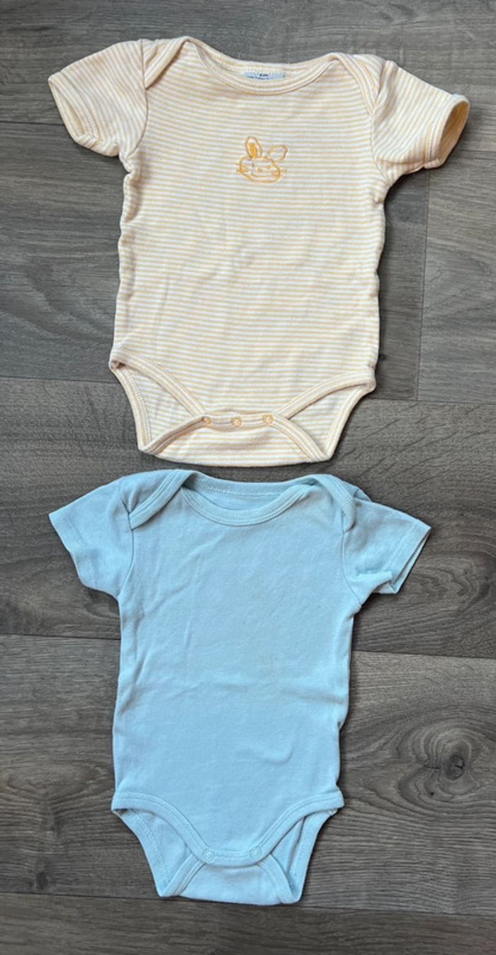 Lot de 11 bodys taille 3 mois Orchestra Absorba Petit bateau Obaïbi - photo numéro 5