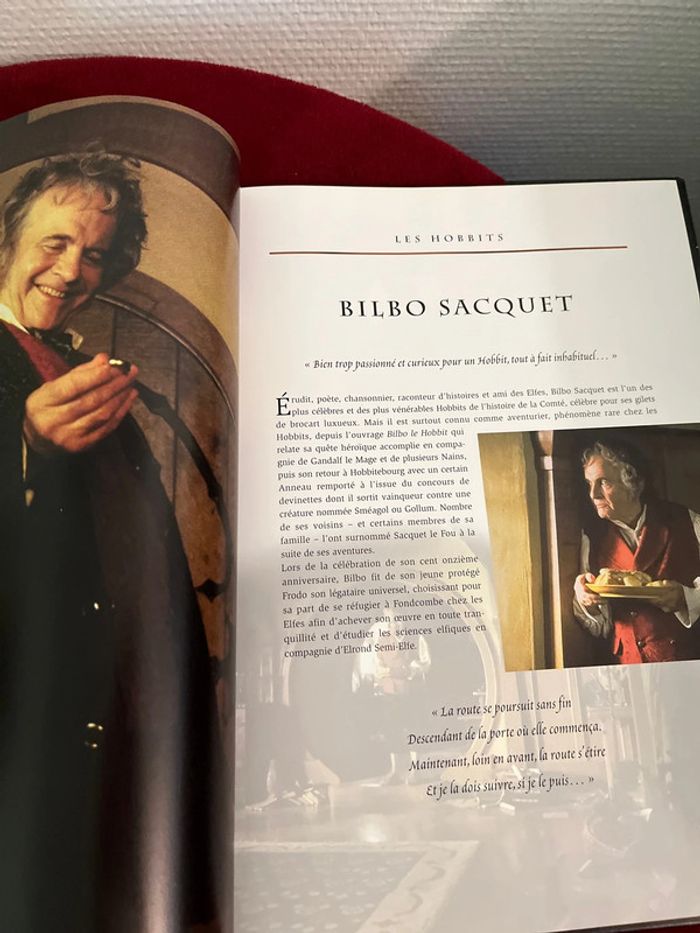 Livre Guide Illustré de la Terre du Milieu Le Seigneur des anneaux - photo numéro 4