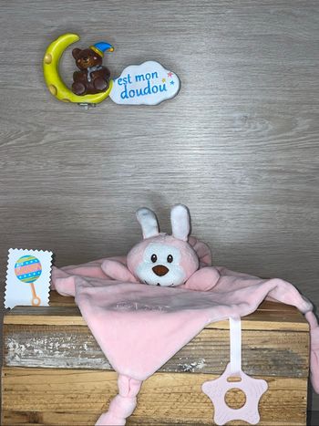 SOL189 doudou lapin 🐰 Dr Feity