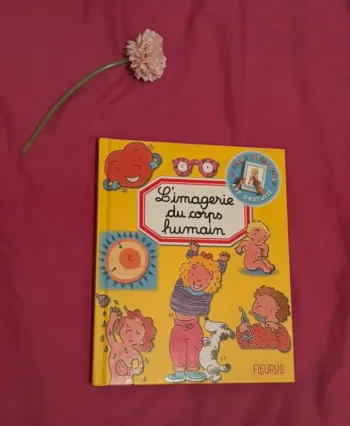 L’imagerie du corps humain