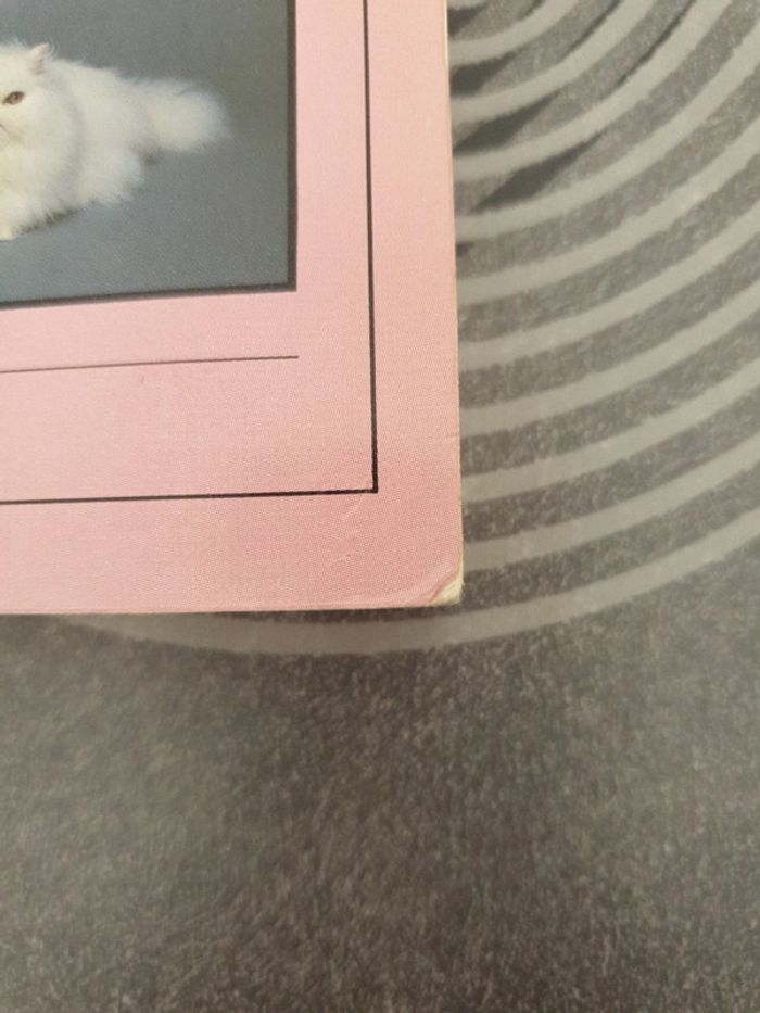 Vous et votre persan - photo numéro 7