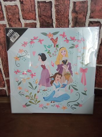 Toile Disney princesses 30x30