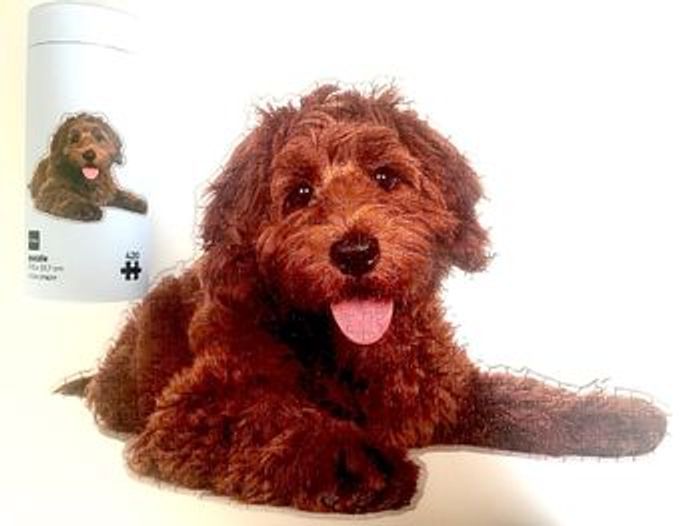 Puzzle chien 420 pièces