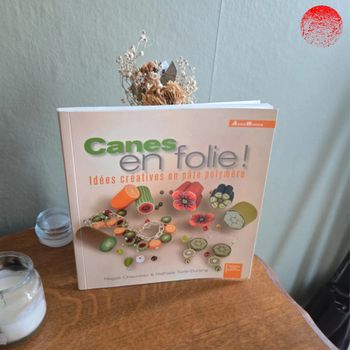#3 Livre canes en folie