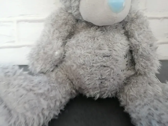 Adorable peluche me to you - photo numéro 5