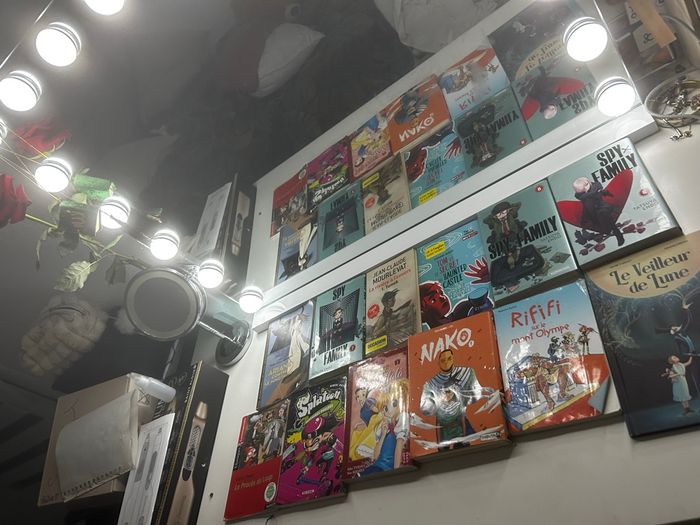 Lot de livre / manga / enfant - photo numéro 1