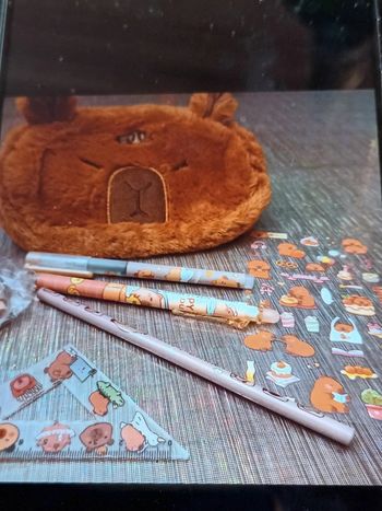 Trousse Capybara et ses accessoires