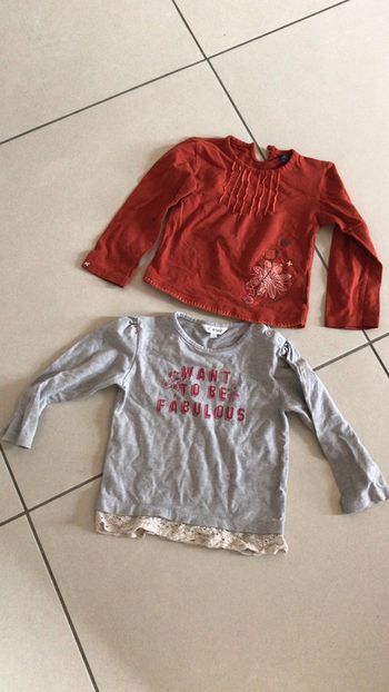 Lot 2 t-shirt manches longues 4 ans