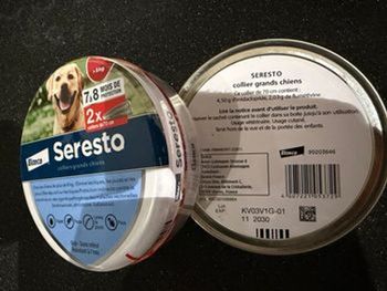 Seresto chien